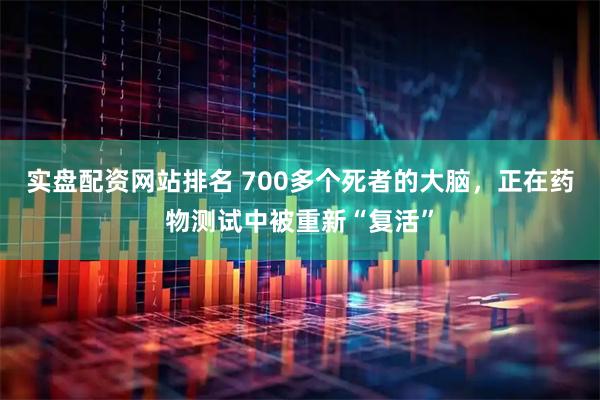 实盘配资网站排名 700多个死者的大脑，正在药物测试中被重新“复活”